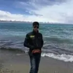 东北哥俺是亮子