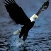 じ笑沧海╰づ