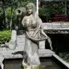 花鱼儿6