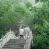 蒙面哥ey