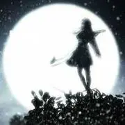 夜阑枫吟〃