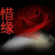 11铁粉