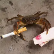 小刀、酒鬼