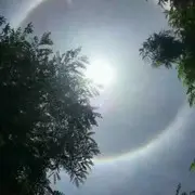 永恒k9
