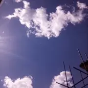 荷塘东