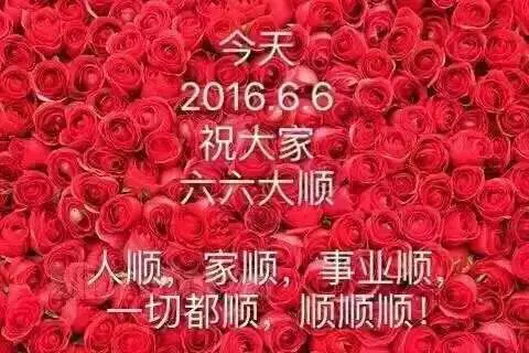 2025☃东北小哥的主播照片