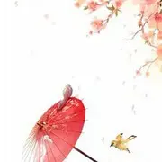 ~甜歌~音悦~邓丽君