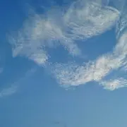 微信_6139710
