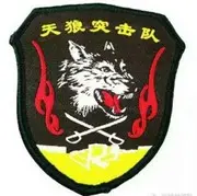 ？？？~☆西域天狼☆