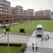 园艺设计