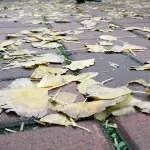 那年那人那地和那事