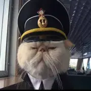 呼哈哈哈嘿