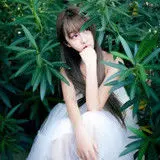 潮州【韵香茶业】