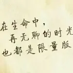 流氓VS乖乖女
