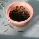 微信_7289135