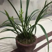 爱我就吻吻我