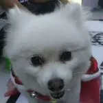 ♥我老攻♥