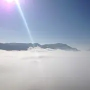 飞❤鹰