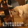 這些、那些