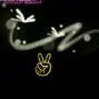 風里勁闯