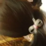 猛踩一脚油闯进你的盺