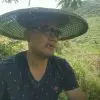 遗忘的誓言j