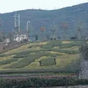 微信_3683257
