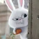 回来瞅瞅ehlmoq