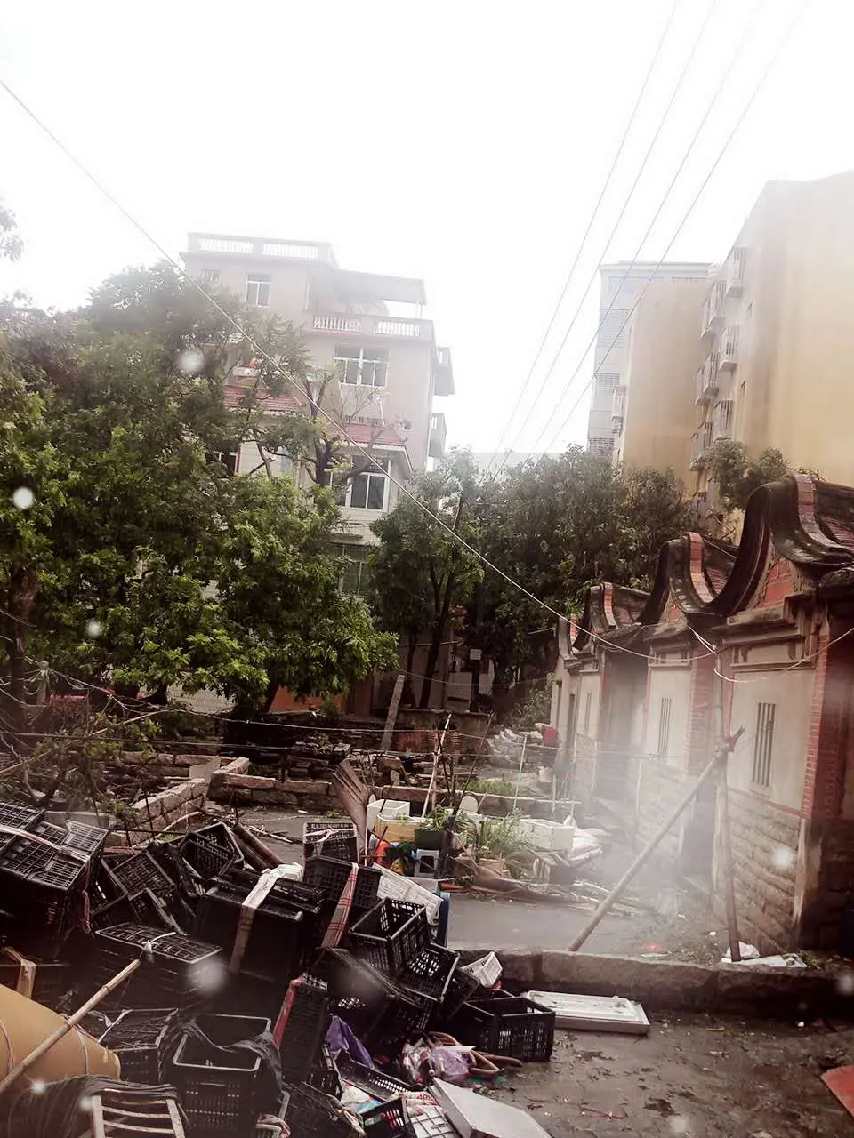 你把绝情给了动情地我的主播照片