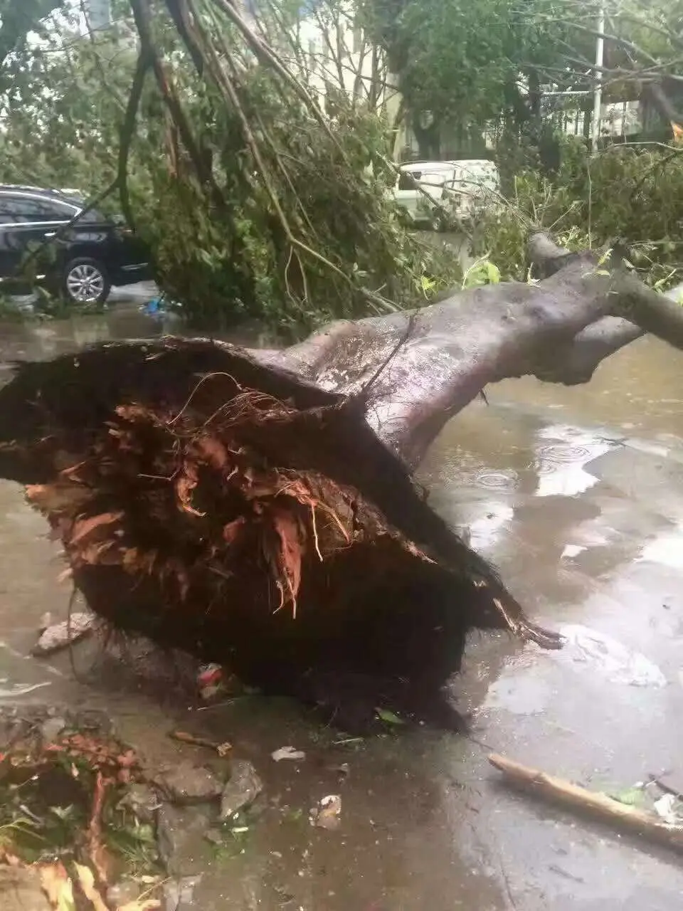 你把绝情给了动情地我的主播照片