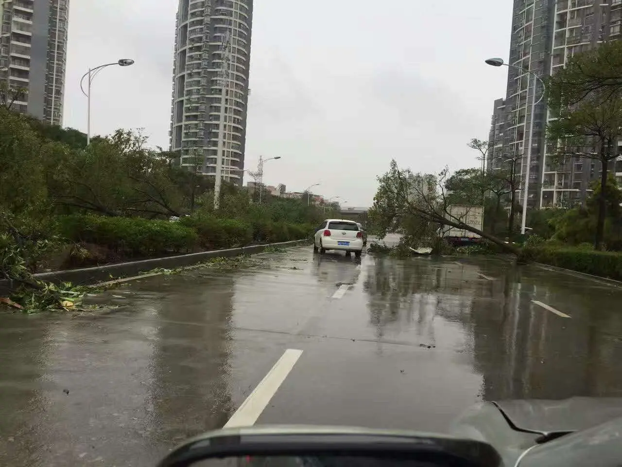 你把绝情给了动情地我的主播照片