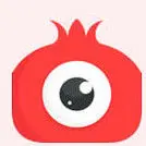 石榴𥄂播