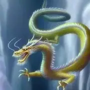 微信_4636601