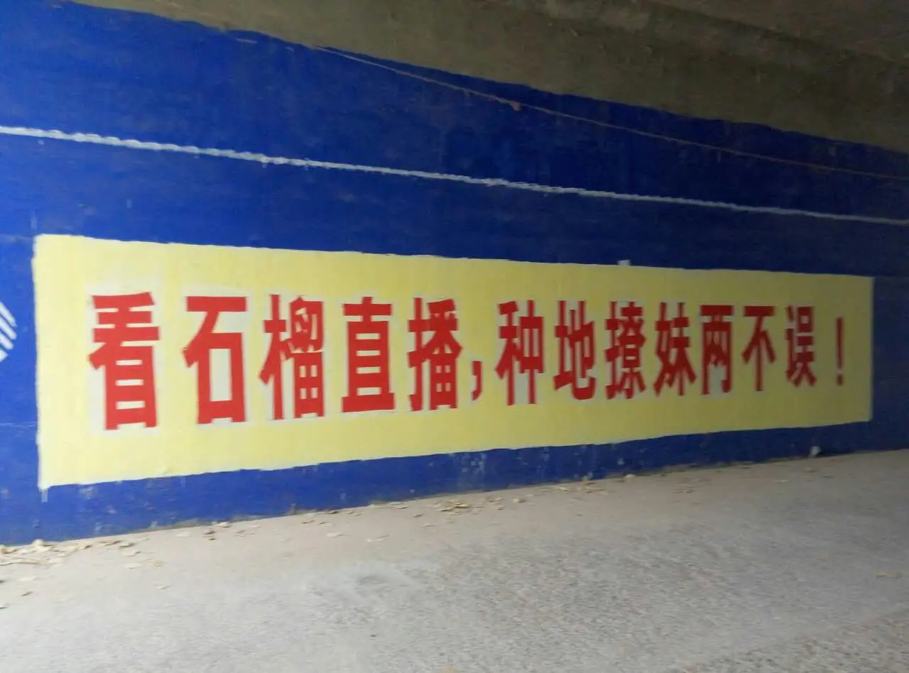 2025☃东北小哥的主播照片