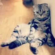 云心，动