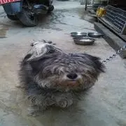 看热闹地