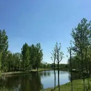小迷你神