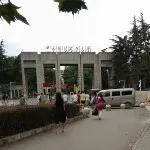 @自由人$