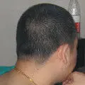 大脑壳武哥