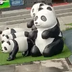 人称我海哥😊