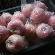 丑果果哥