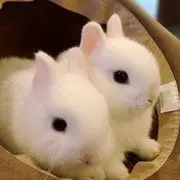 有点蒙。。。