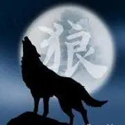 ☠战狼☠