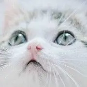 等雪变暖