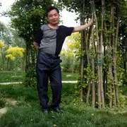玖纹龙n