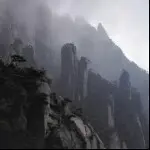 老可乐@