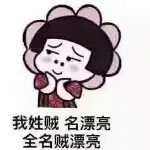 車大宝蓒