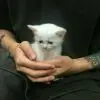 想我！