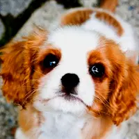 宁波猛哥的主播照片