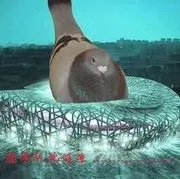 不闹行不行